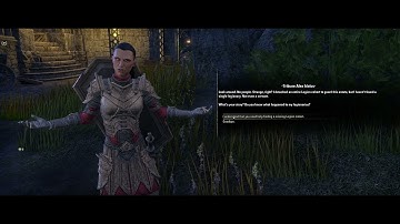 The Elder Scrolls Online Sorceress Gameplay part 5 - Ultrawide 4K 60FPS No commentary