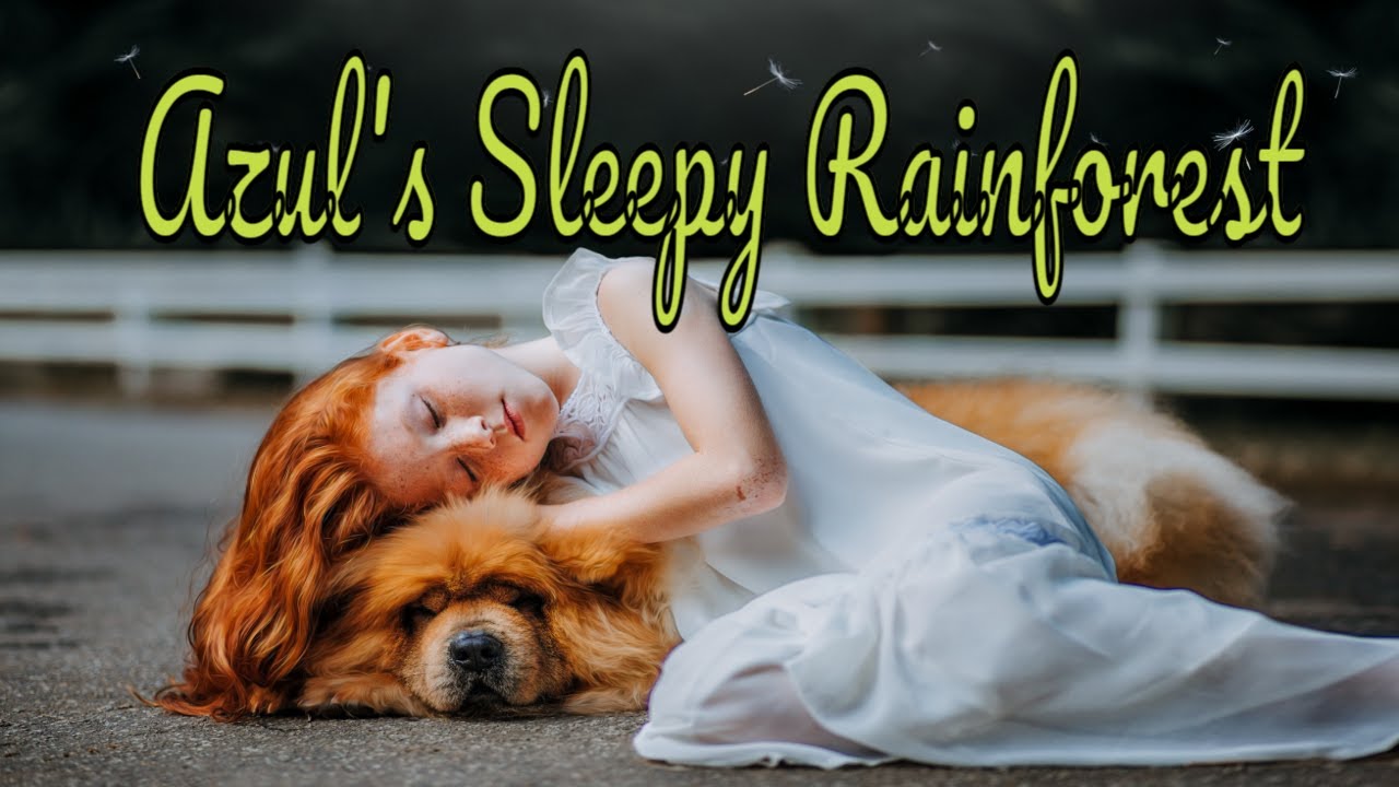 Watch Azul's Sleepy Rainforest - Sleep stories for kids on YouTube Watch Azul's Sleepy Rainforest - Sleep stories for kids on YouTube