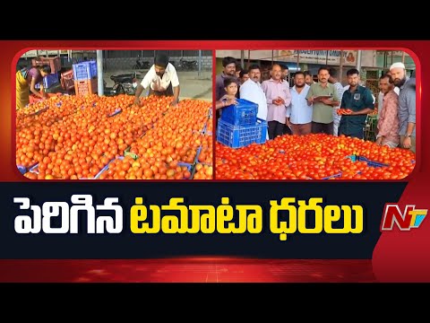 Tomato Price Hike Today | AP | Chittoor | NTV Telugu - NTVTELUGU