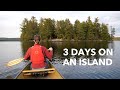 3 DAYS ON AN ALGONQUIN ISLAND! (PART 2 OF BEAR ENCOUNTERS & BABIES) 4K