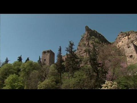 1 მაისს თბილისის ბოტანიკური ბაღის 170 წლის იუბილე აღინიშნება