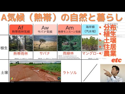 【高校地理】3-7. A気候（熱帯）の自然と暮らし（熱帯雨林、サバナ、ラトソル、焼畑農業など） | 3. 世界の気候