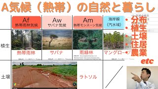 【高校地理】3-7. A気候（熱帯）の自然と暮らし（熱帯雨林、サバナ、ラトソル、焼畑農業など） | 3. 世界の気候