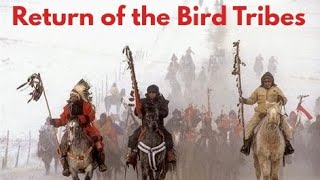 Return Of The Bird Tribes