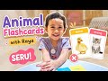 Raya Learns Animal Flashcards | Can Raya Guess the Animals? #funny #kidsvideo #learning