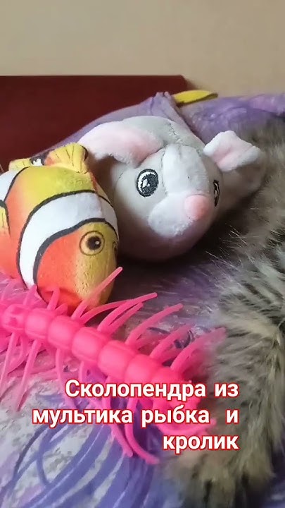 Боня))) - YouTube
