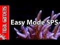 The "Easy Mode" SPS Aquarium