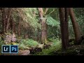 How to get that FAIRYTALE Woodland Look | Editing Workflow