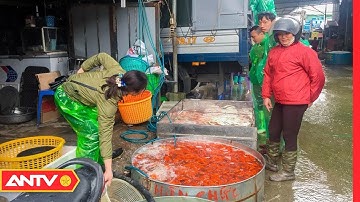 Làng nuôi cá chép cúng ông công ông táo vào mùa | Mỗi ngày một nghề | ANTV
