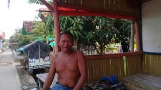 Mang banteng di suruh saya engga mau saya nyledek kamu sambil video kamu