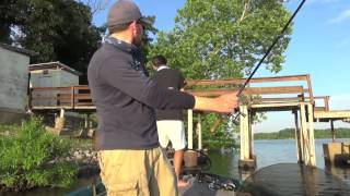 Kentucky Lake Shallow Water B Fishing