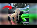 Girl tries to taste BMW | Best of Car Fails & Wins (Part 1)