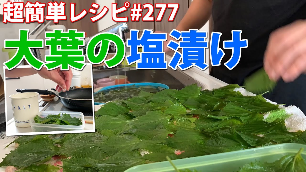 大葉の塩漬け 保存食 と鮮度を保つ大葉の保存方法 簡単レシピ277 Youtube