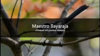 Chirakatti Kili Pookkal | My Dear Kuttichathan | Ilayaraja | Yesudas | Bichu Tirumala | SongStalgia