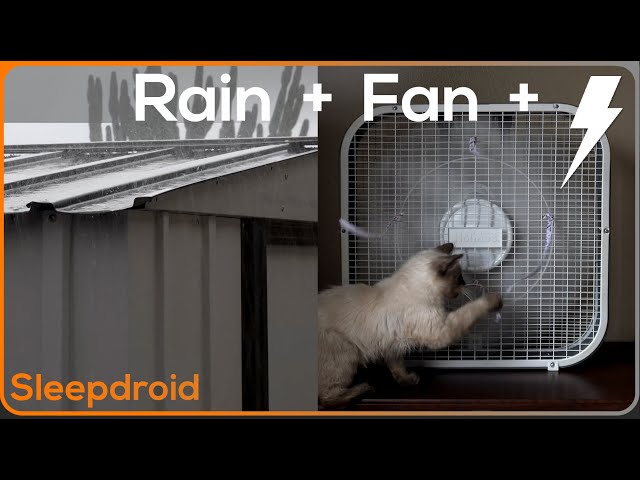 ►Fan Noise | Fan and Rain Sounds for Sleeping | Hard Rain on a Tin Roof | Metal Roof and Box Fan class=