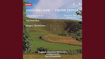 Suite for String Orchestra: IV. Finale