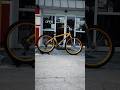 2025 SE Bikes Fast Ripper - Gold Bling 🔥