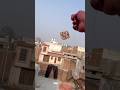 Kites short videos #@P@PrakashSaini5555-y7p