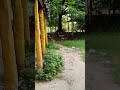Kovil ah illa Tasmac ah Da 😈