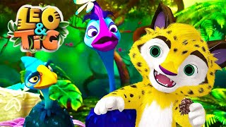 Leo and Tig - The Cheerful Cassowary (Episode 33) 🦁 Cartoon for kids Kedoo Toons TV