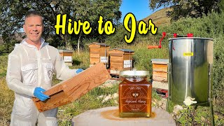 Our First 7KG of Heather Honey! - Full Process from Beehive to Jars. Ep. 257.