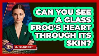 Can You See A Glass Frog's Heart Through Its Skin? - Did Ya Know This