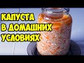 Как квасить капусту в домашних условиях. Простой рецепт вкусной соленой капусты