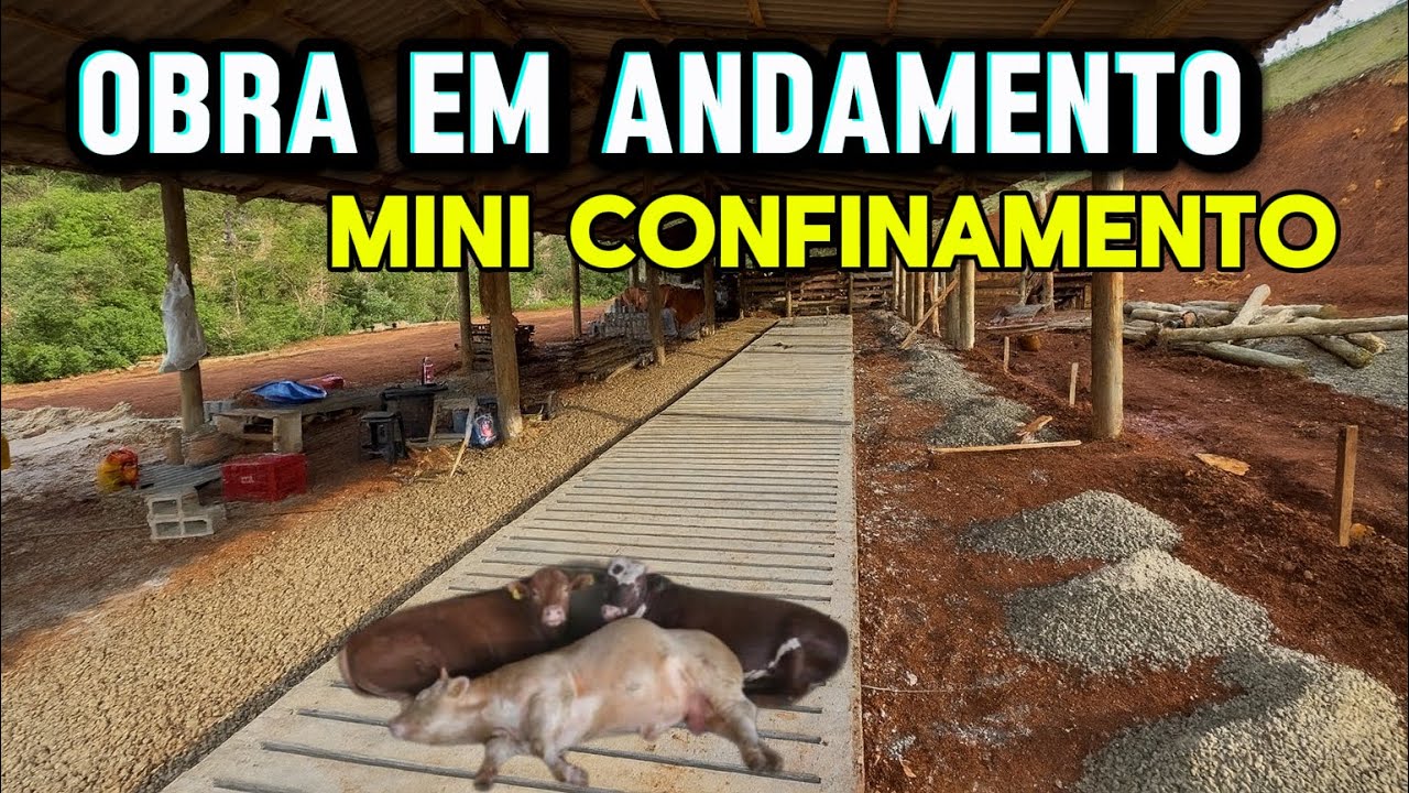 Esta ficando pronto o Mini Confinamento 