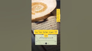 "من رب السماوات ولارض ❓"ايات مؤثرة من سورة الرعد#ياسر_الدوسر#قرآن#ايات_قرانيه_قصيره#قران_بصوت_جميل