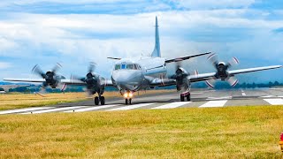 Farewell Flyby: Watch the RNZAF P3K2 Orion's Final Touchdown at Blenheim Woodbourne Airport