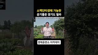 소액단타경매 가능한 공기좋은 경기도 빌라! ##경매교육 #부동산경매 #경매훈련소 #송파구경매학원 #강동구경매학원 #노원경매학원 #성남경매학원 #용인경매학원