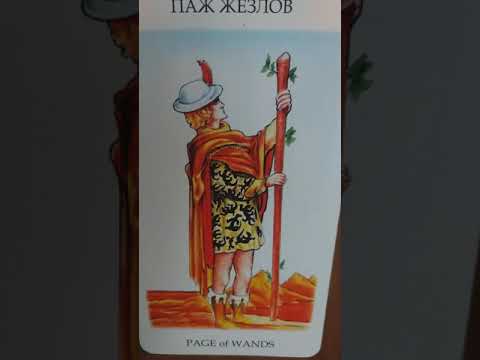 7 жезлов и паж жезлов