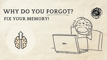 The Ultimate Memory Hacks That Make Learning Effortless (Science-Backed)