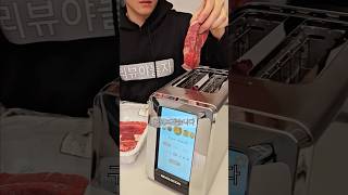 60만원짜리 토스트기로 고기 굽기..ㅠㅠ(ft.모에솔트)