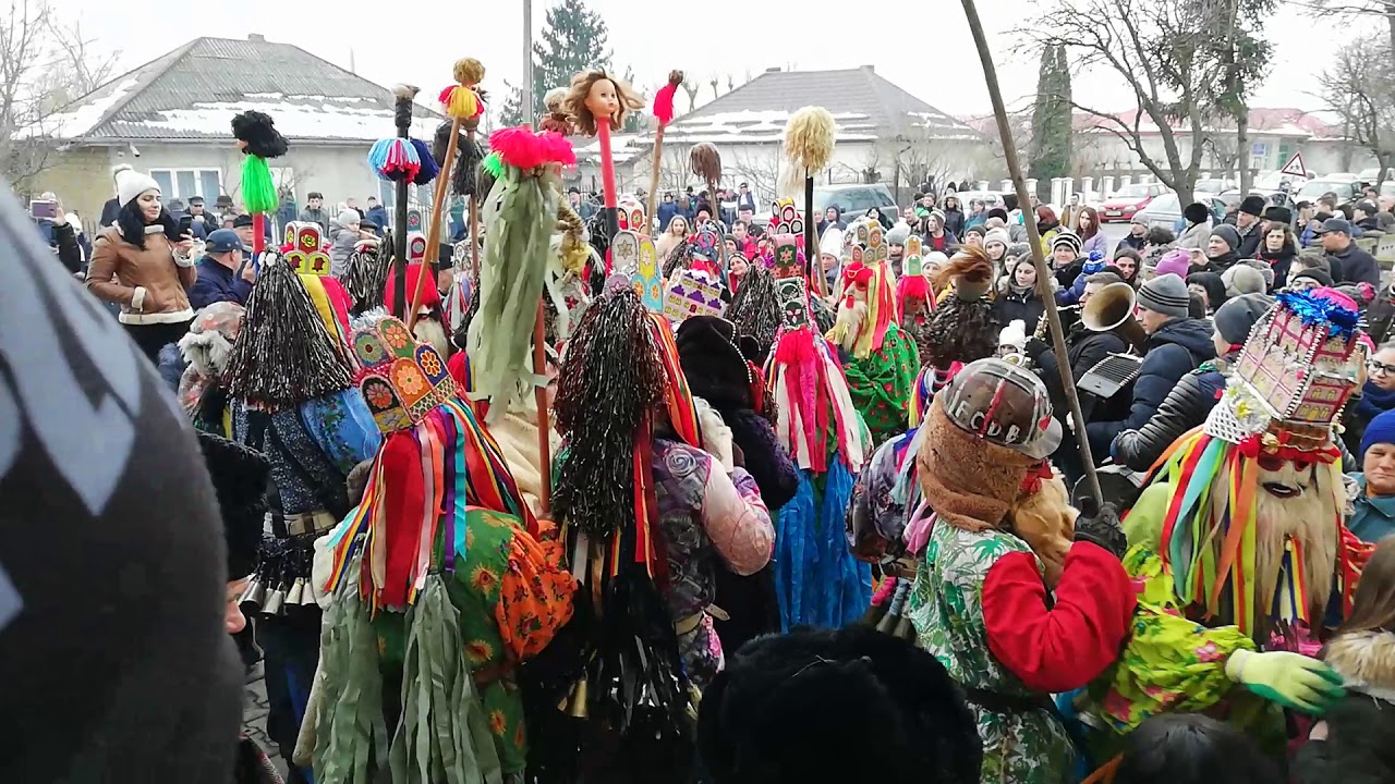 Ursul de la Blăgești, 2018-part 2