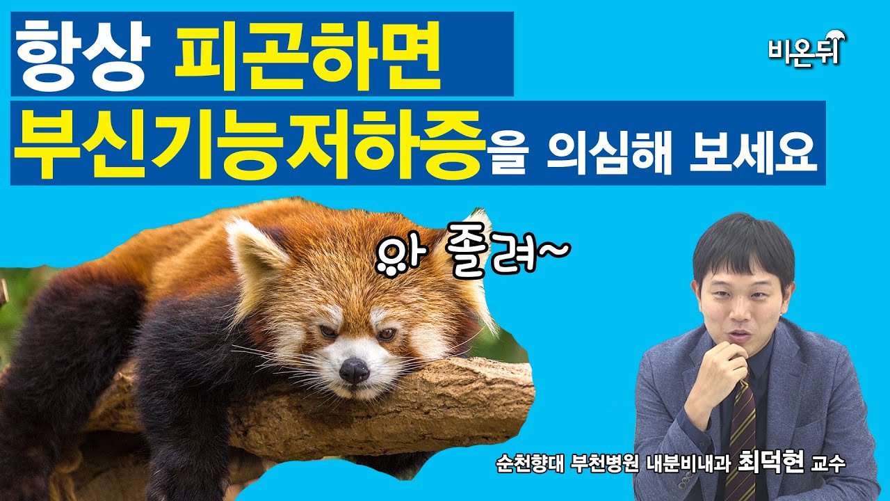 손에 힘이 안들어가요. 병뚜껑을 따기가 힘들어요. 물건을 떨어뜨릴것 같아요. 걸레/행주를 못짜요. 꽉 잡을 수가 없어요