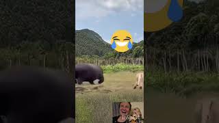 seeing off the guest 😂 #humor #animals #gaming #beby #like #love #shortvideo #viral #funny #drawing