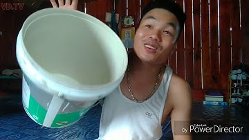 Bẫy chuột đơn giản dễ làm lu nước  (mouse trap made of plastic box plastic box ) - VĂN DINH Vlogs