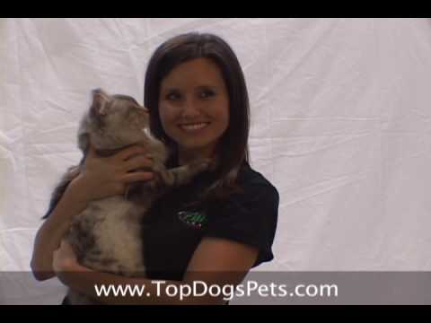 Ashley Force Hood & Simba in Top Dogs and Their Pets