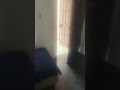 Ladrón