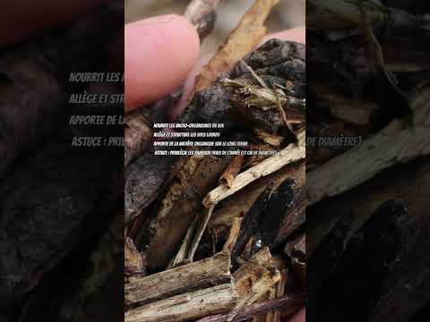 2 Mistakes To Avoid Vegetable Garden Garden Agriculture Permaculture Garden Gardening