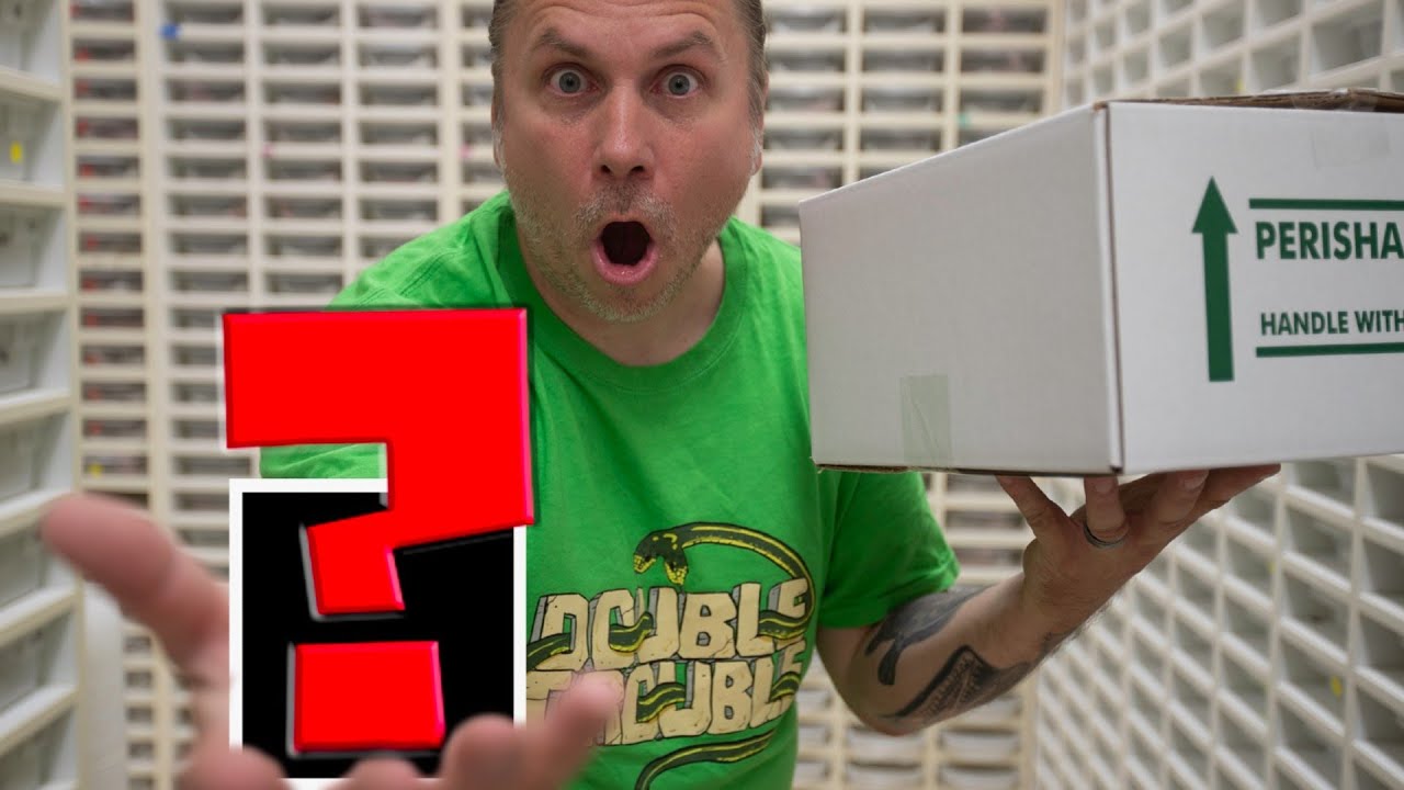 vlogs in spanish SURPRISING ME WITH A BOX OF NEW SNAKES!! UNBOXING UNKNOWN SNAKES!! | BRIAN BARCZYK