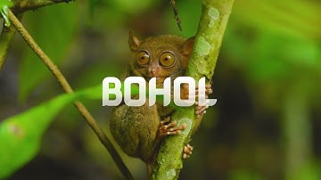 LOVE Bohol