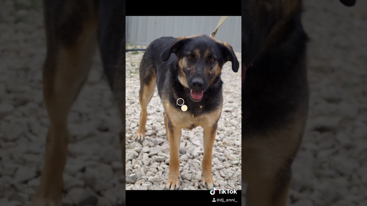 CFC97A41 7F63 46F5 AB80 D3090C887EC3