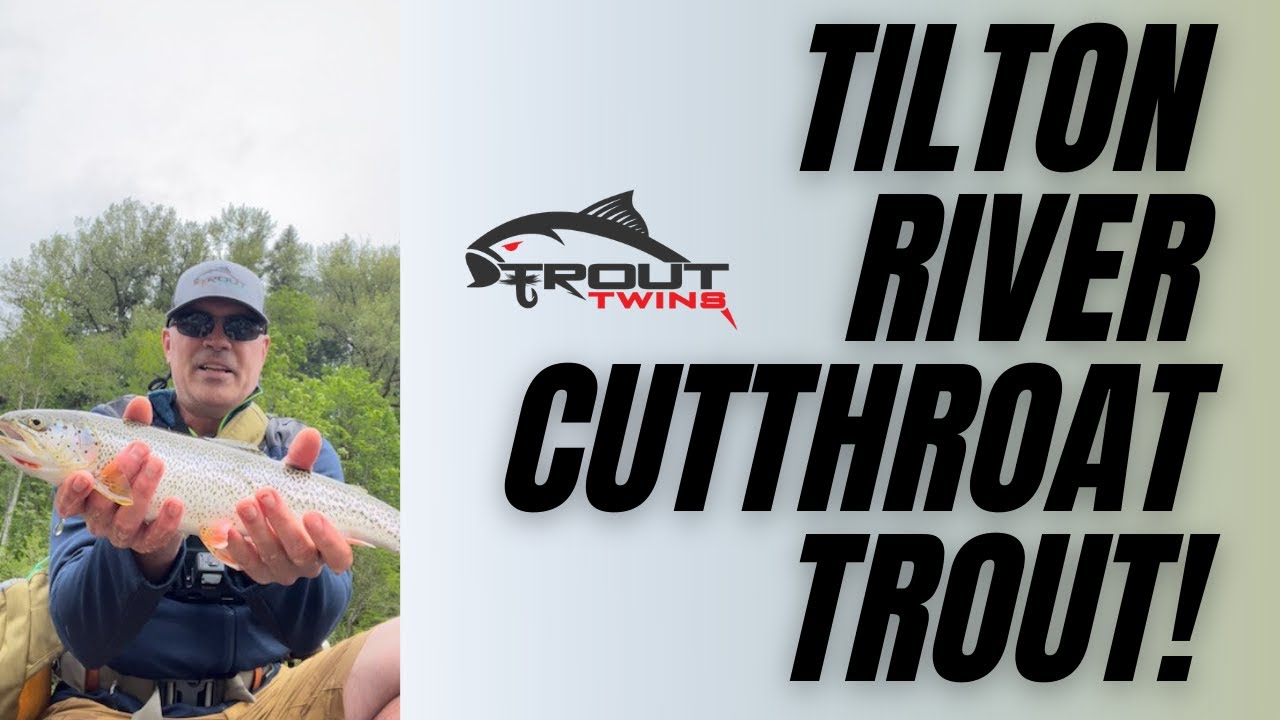 Fly Fishing the Tilton River for Cutthroat Trout! 