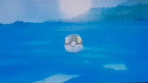 Shiny Tentacool!! Pokemon Let