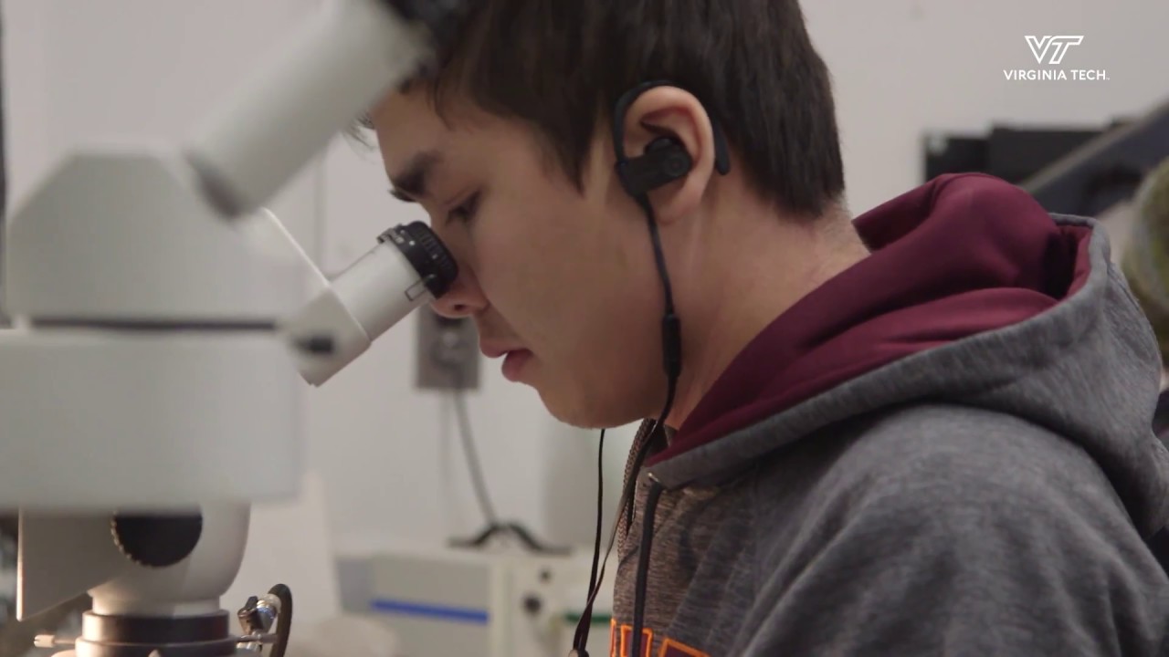 polytechnic institute of new york Virginia Tech students uncover fossils, prepare for study