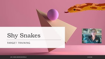 Target Training Shy Snakes