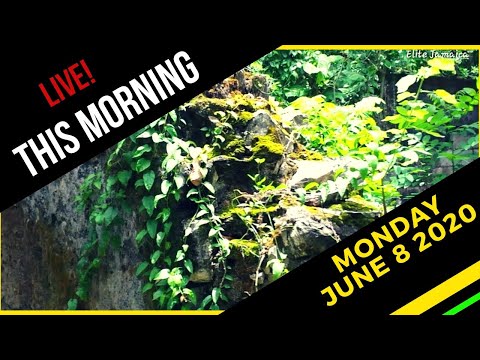 THIS MORNING LIVE!