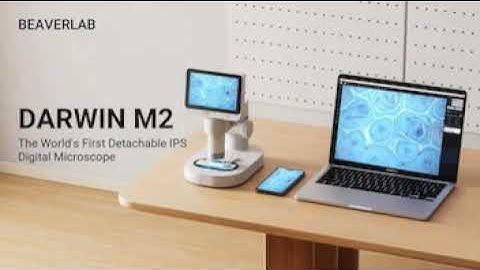 Darwin M2 - The World